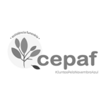 CEPAF